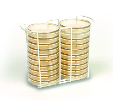 20 Plate Petri Dish Rack
